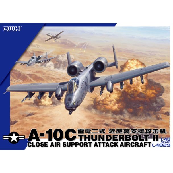 N/AW A-10 THUNDERBOLT II - Model Aces